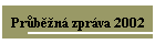 Prčbčně zpráva 2002