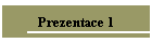 Prezentace 1