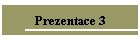 Prezentace 3